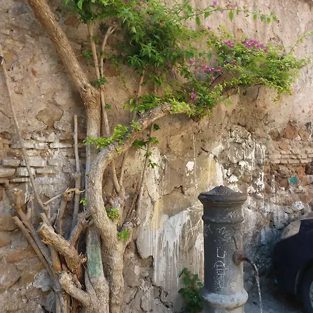 Ventisei Scalini A Trastevere 4* 로마